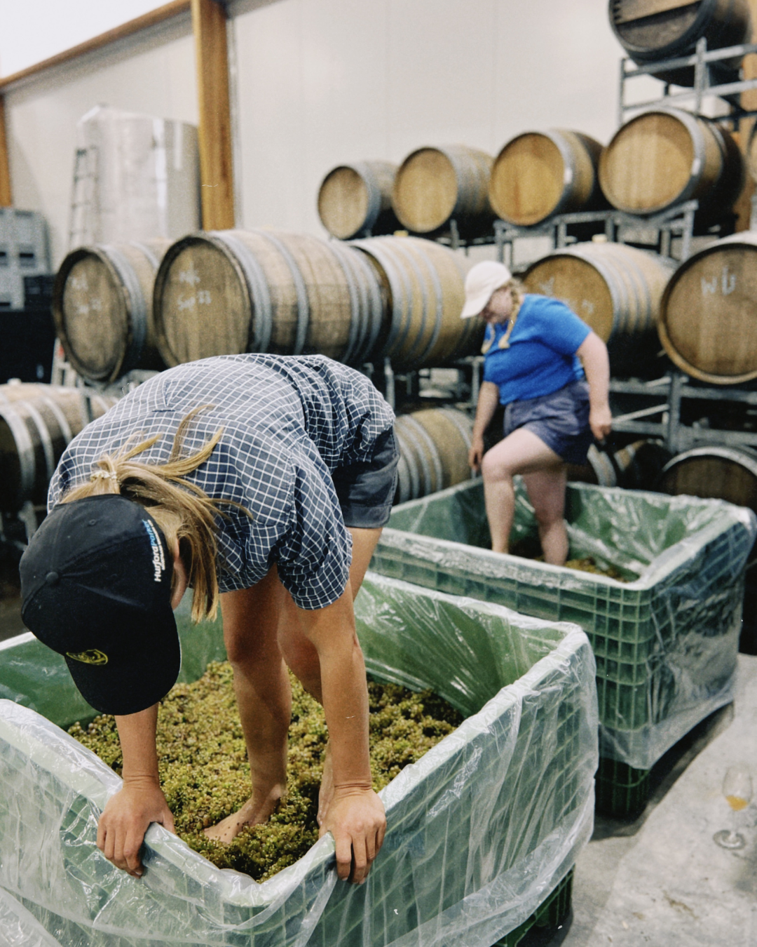 2024 Albariño