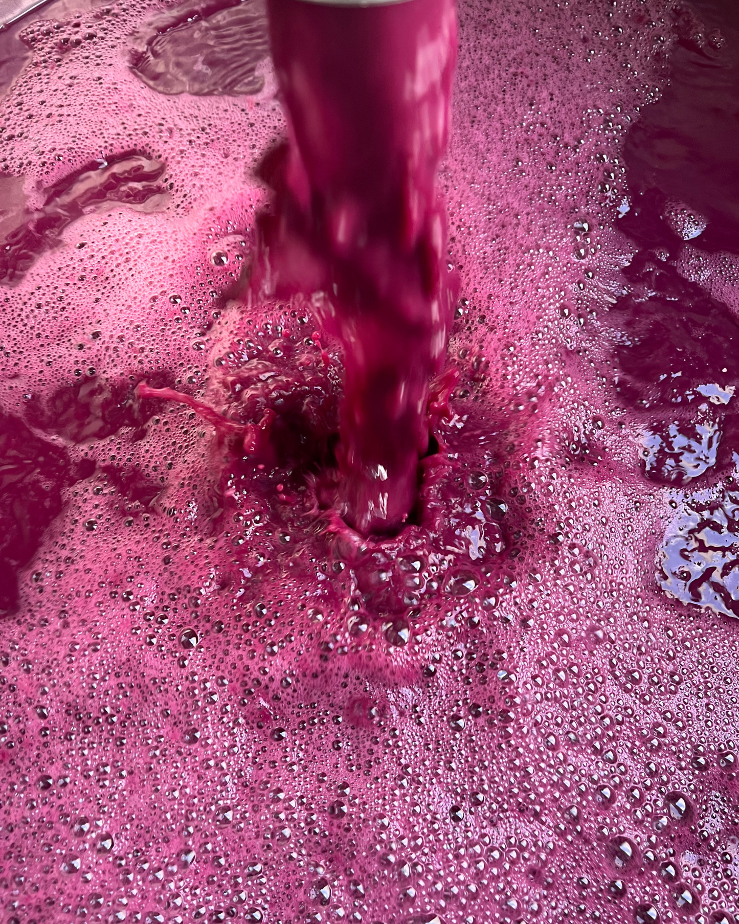 2023 Cabernet Franc