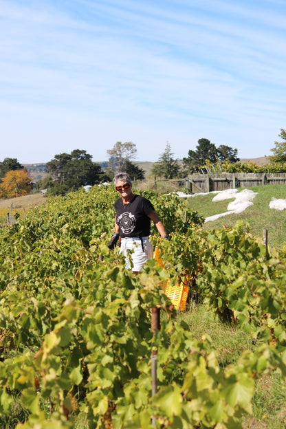 2025 Chenin Blanc (TF x Gordon Russell)