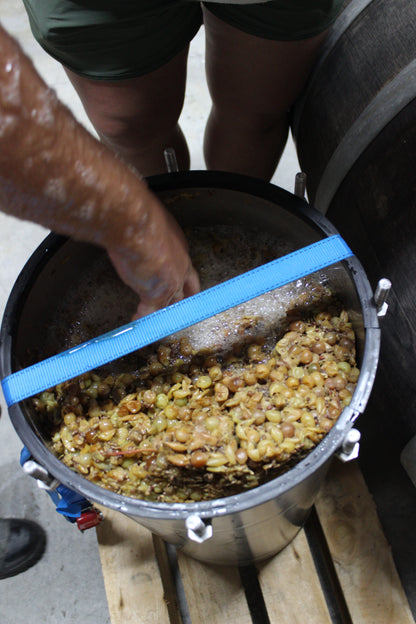 2025 Albariño