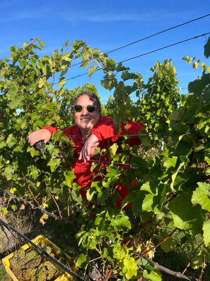 2025 Chenin Blanc (TF x Gordon Russell)