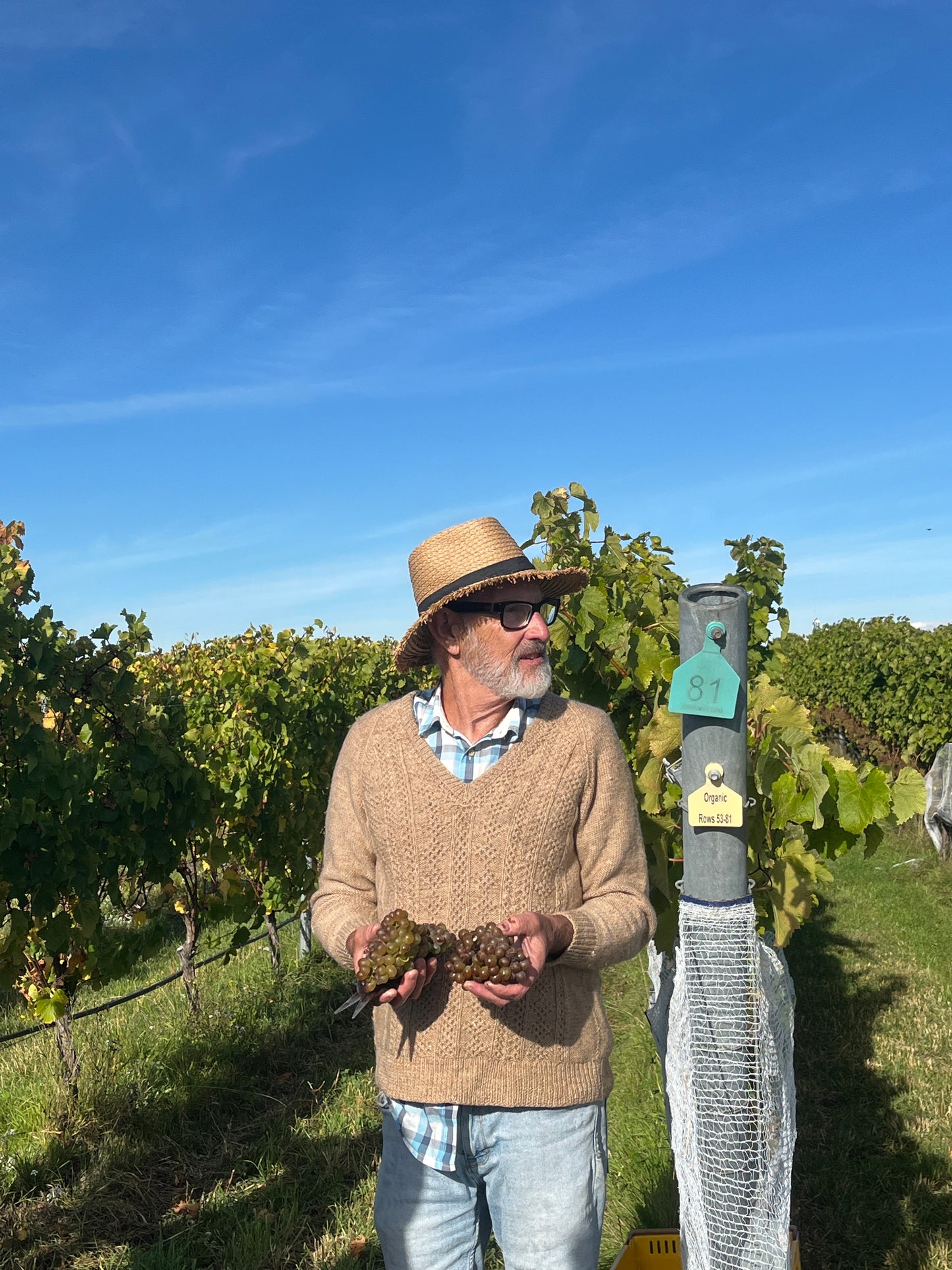 2025 Chenin Blanc (TF x Gordon Russell)