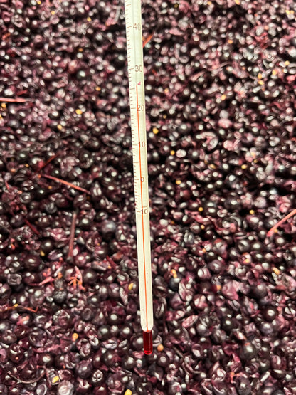 2025 Cabernet Franc