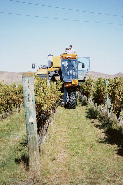 2025 Cabernet Franc